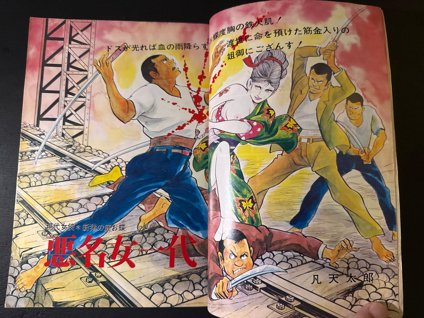 Akumyo Onna Ichidai (A Notorious Woman’s Life)