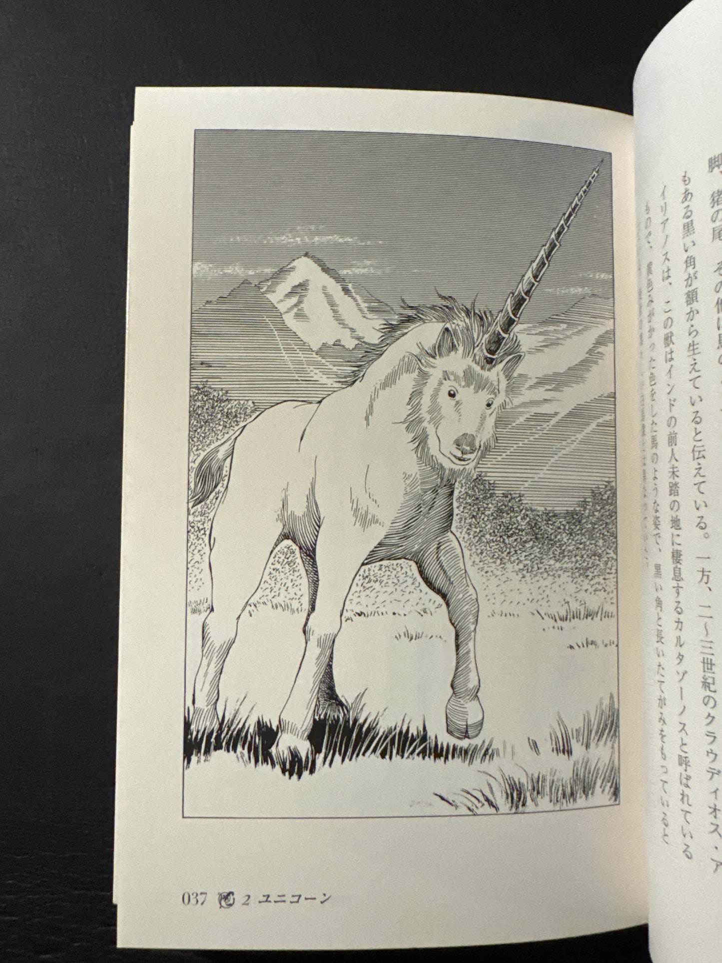 Encyclopedia of Mythical Creatures of the World