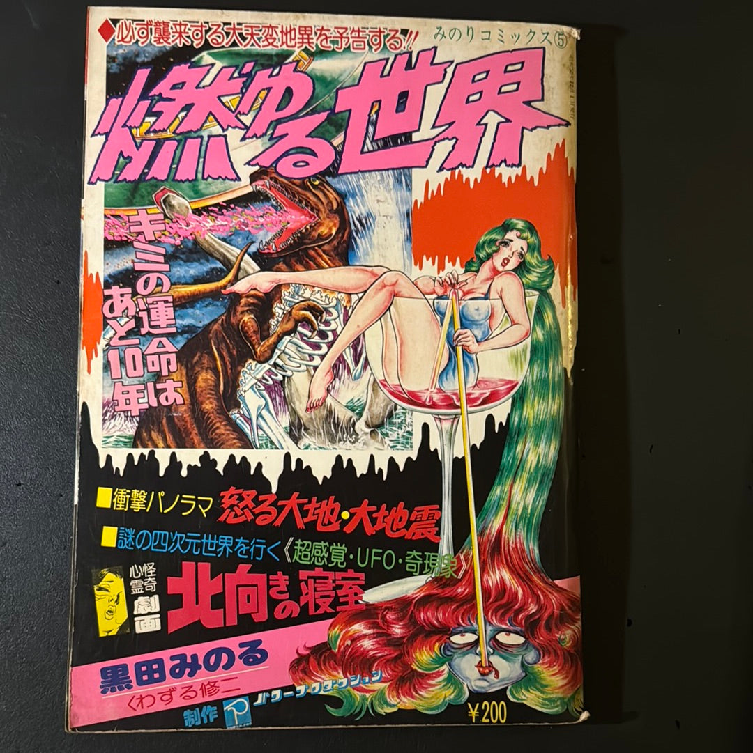 Burning World vol.1 & 2 complete set