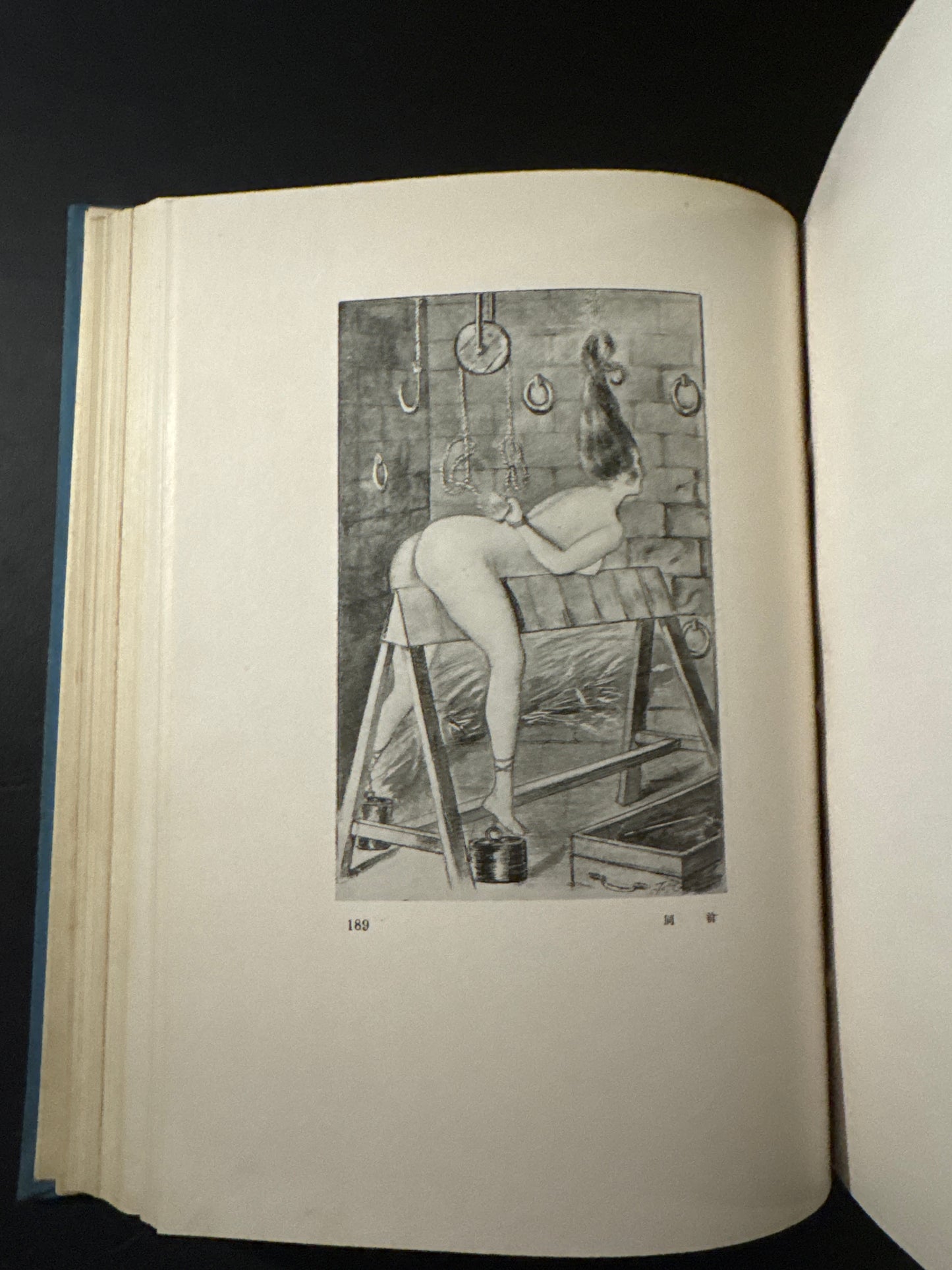 Crime science research materials. Punishment, perverted sexual desires, tattoo research
