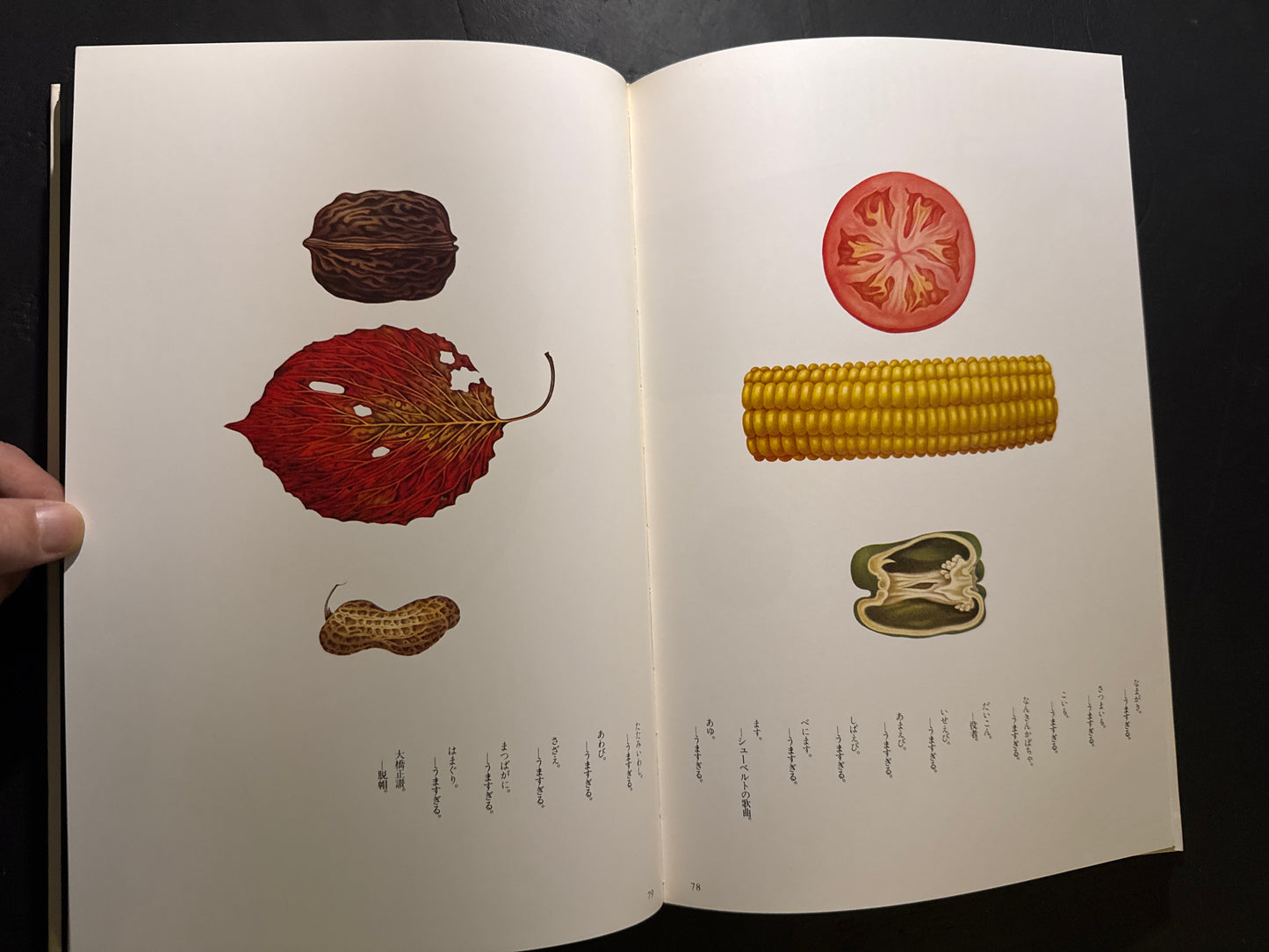 Tadashi Ohashi's Natural History