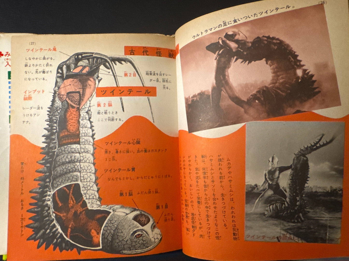 Kaiju Anatomy - Kaiju Illustrated Introduction 18