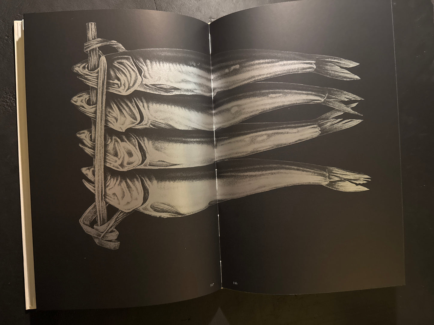 Tadashi Ohashi's Natural History
