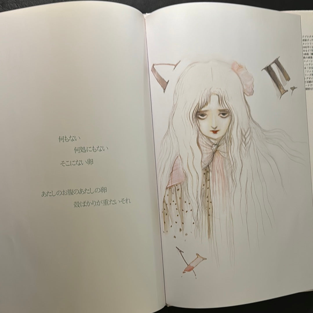 Angel's Egg 1985 First edition
