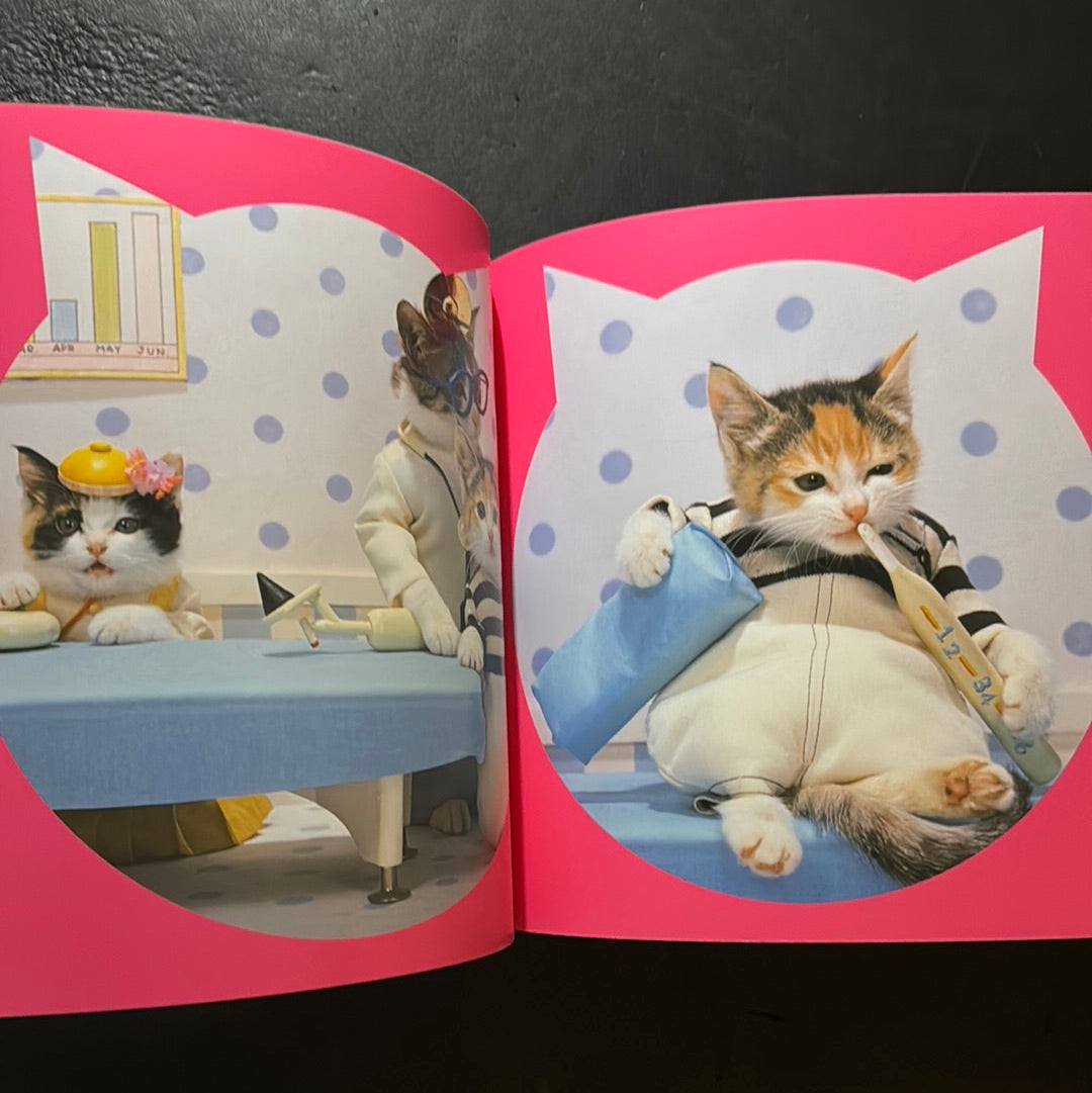 Rock'n' Roll CATS