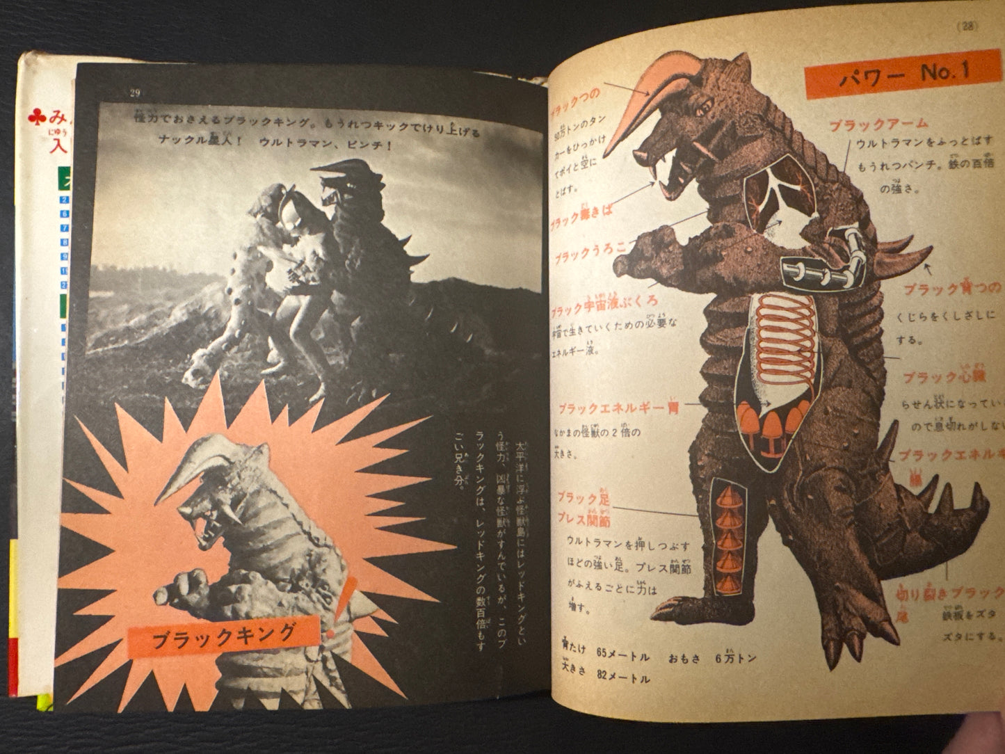 Kaiju Anatomy - Kaiju Illustrated Introduction 18