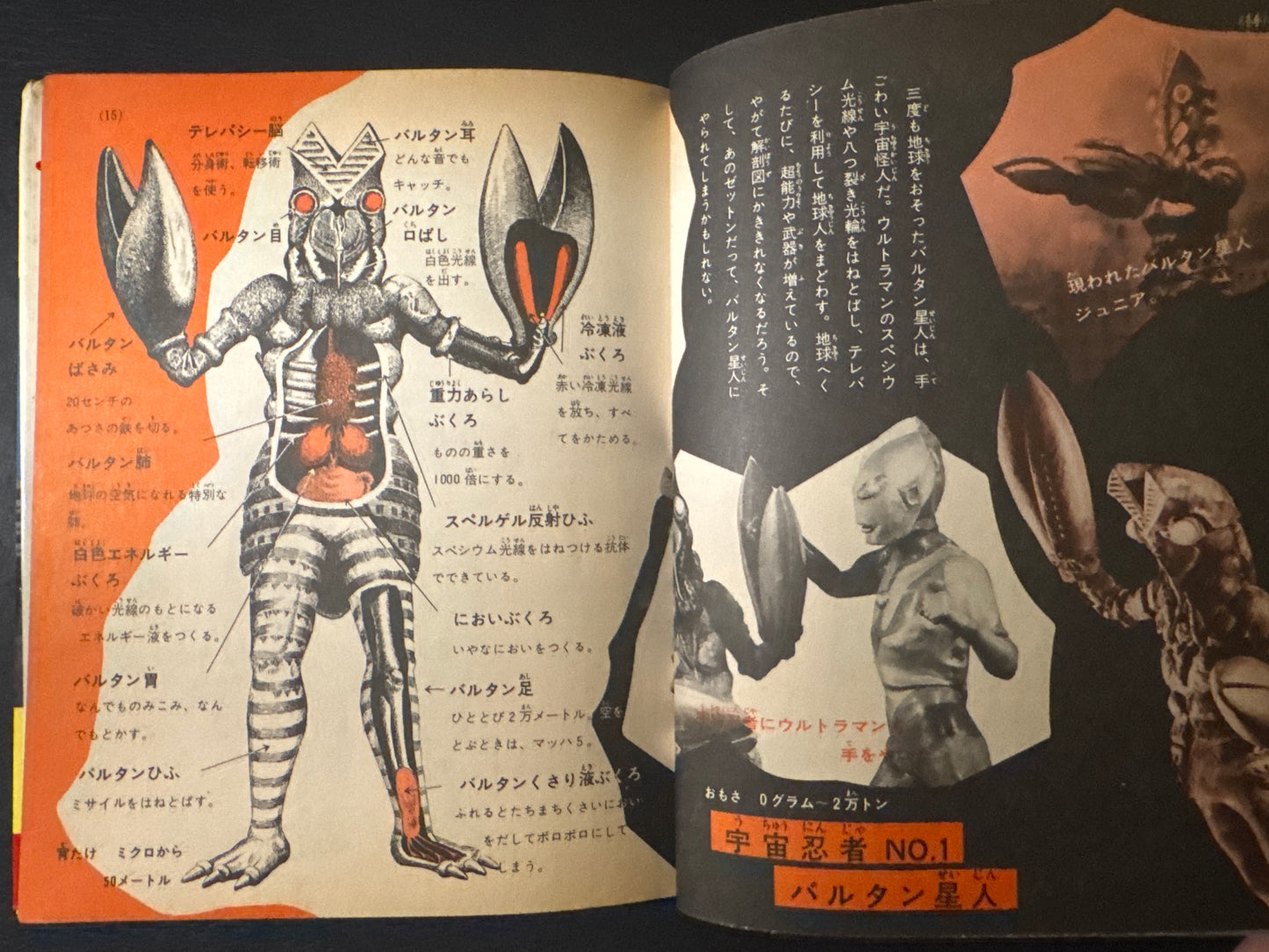 Kaiju Anatomy - Kaiju Illustrated Introduction 18