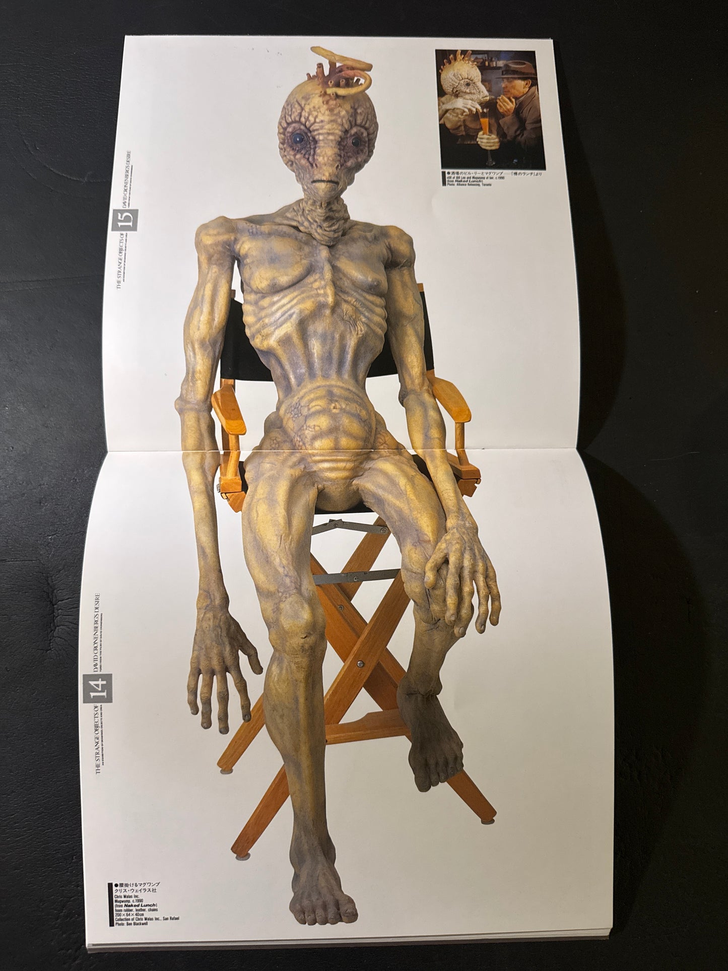 THE STRANGE OBJECTS OF DAVID CRONENBERG'S DESIRE