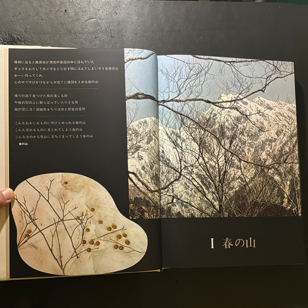 Mountain design