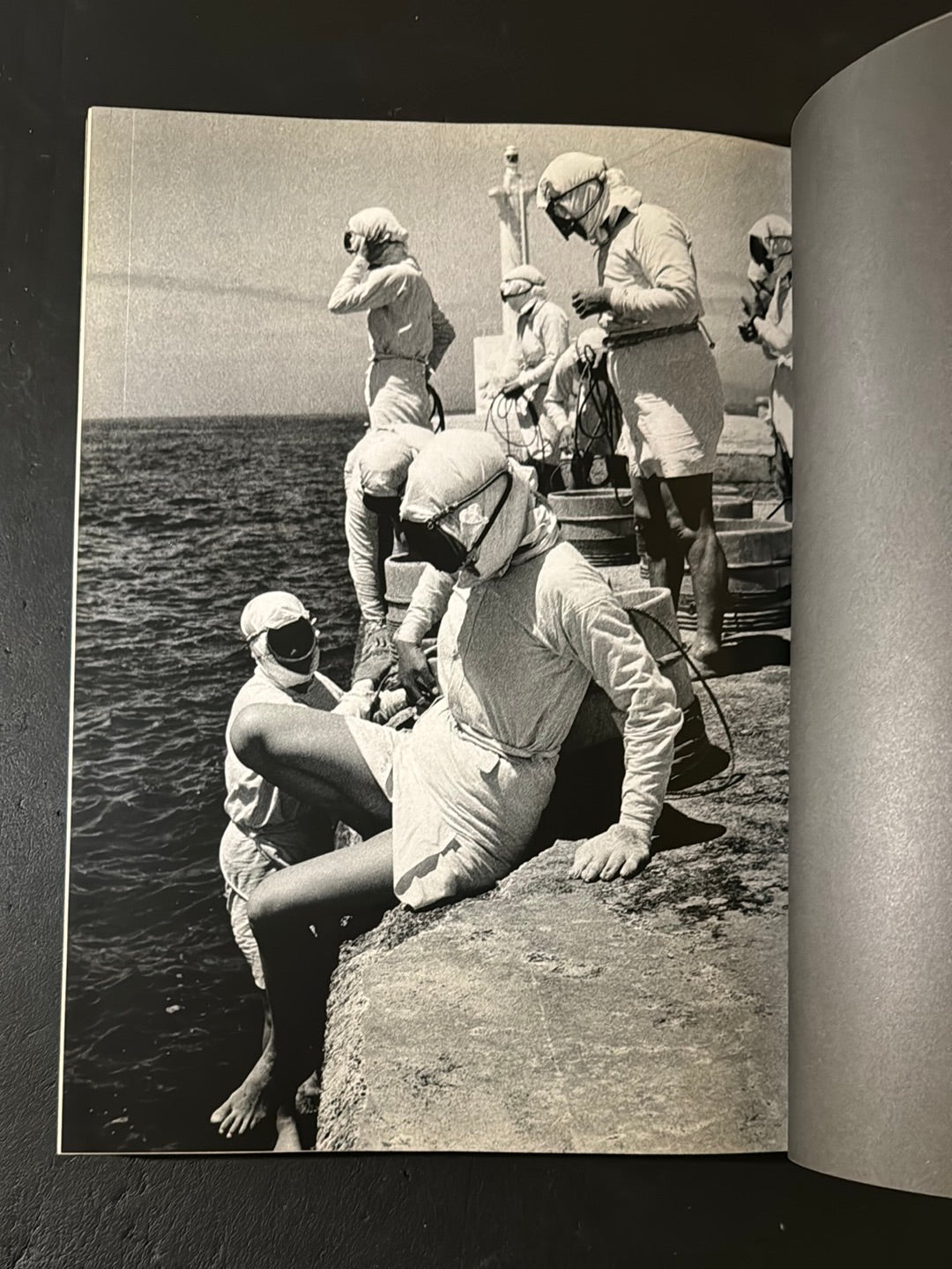 AMA of Shima