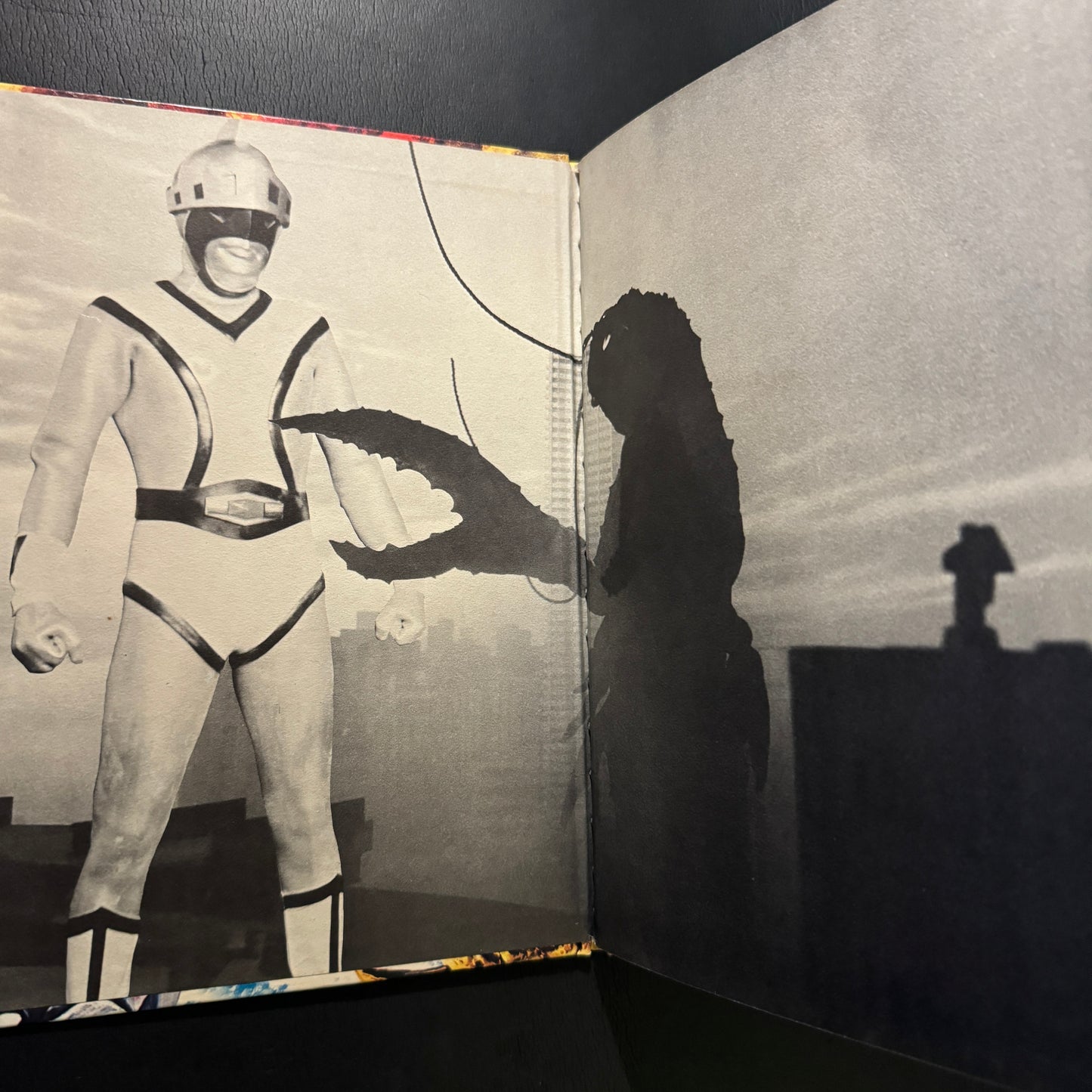 Silver Mask Great Picture Book