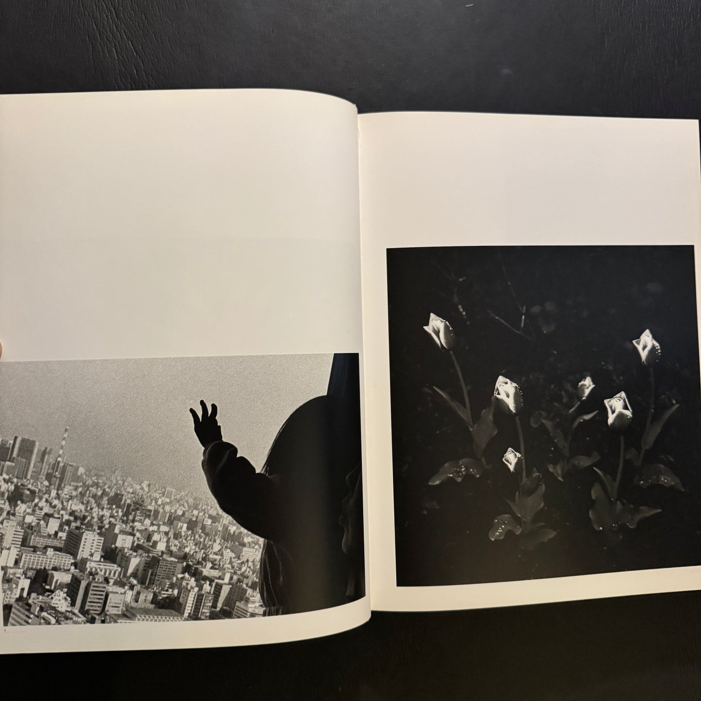 Human Memory