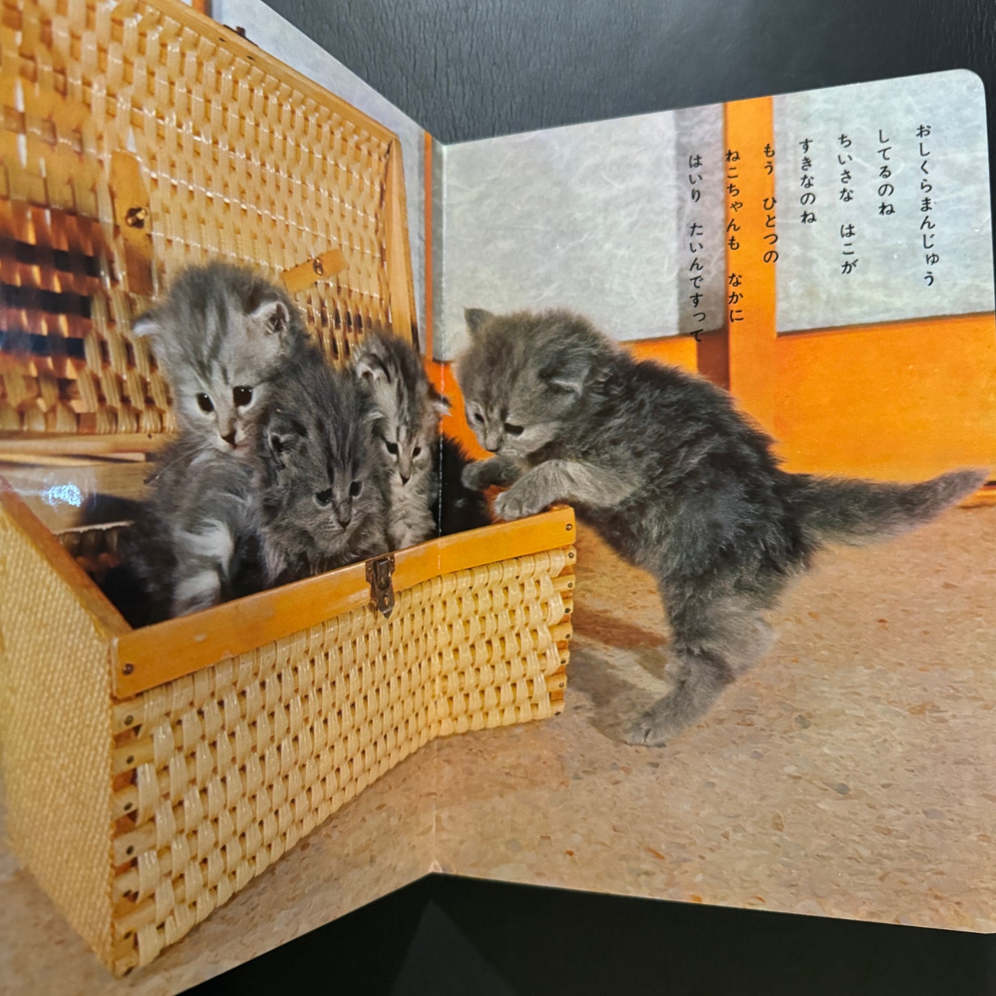 Cutie Cats