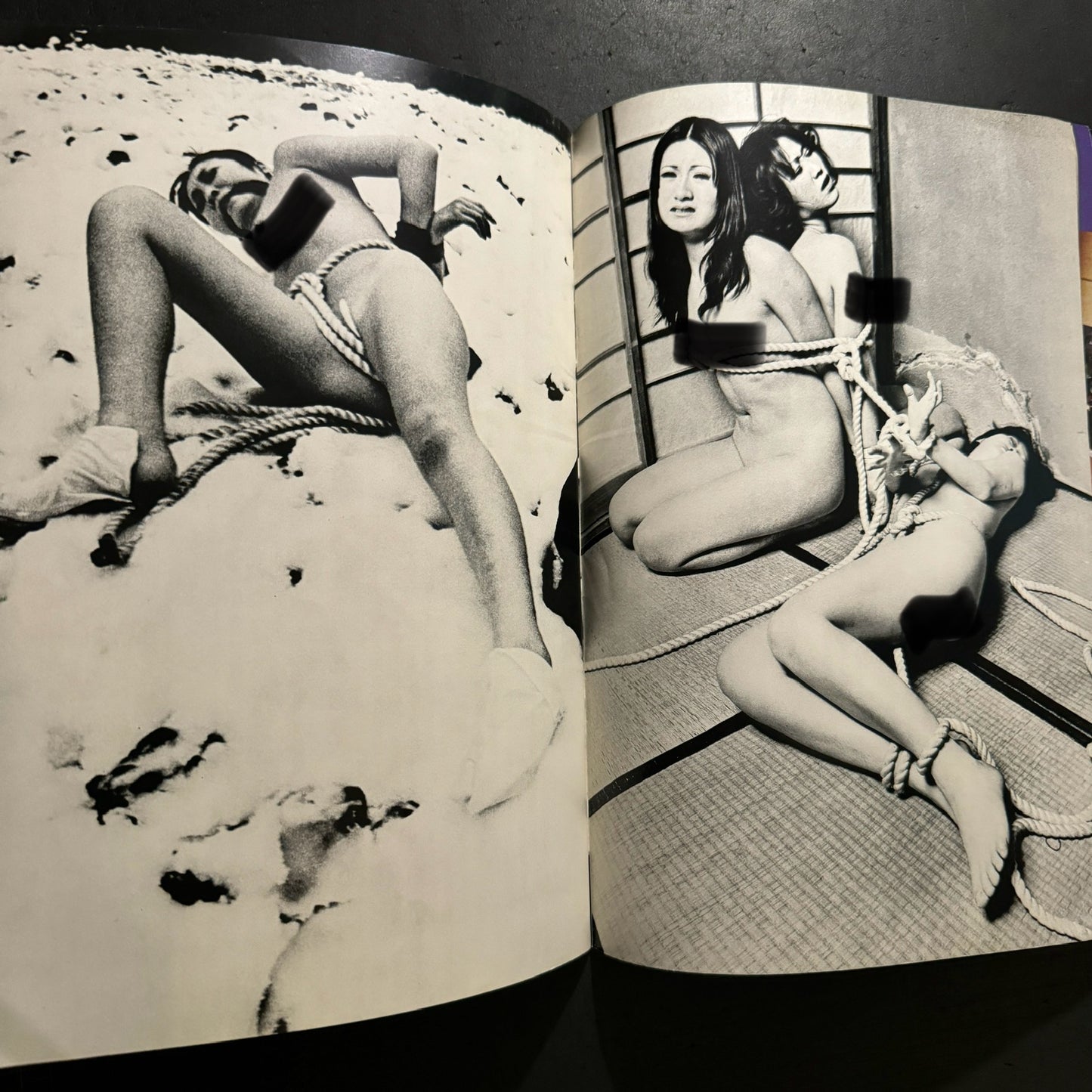 Sadistic Ecstasy