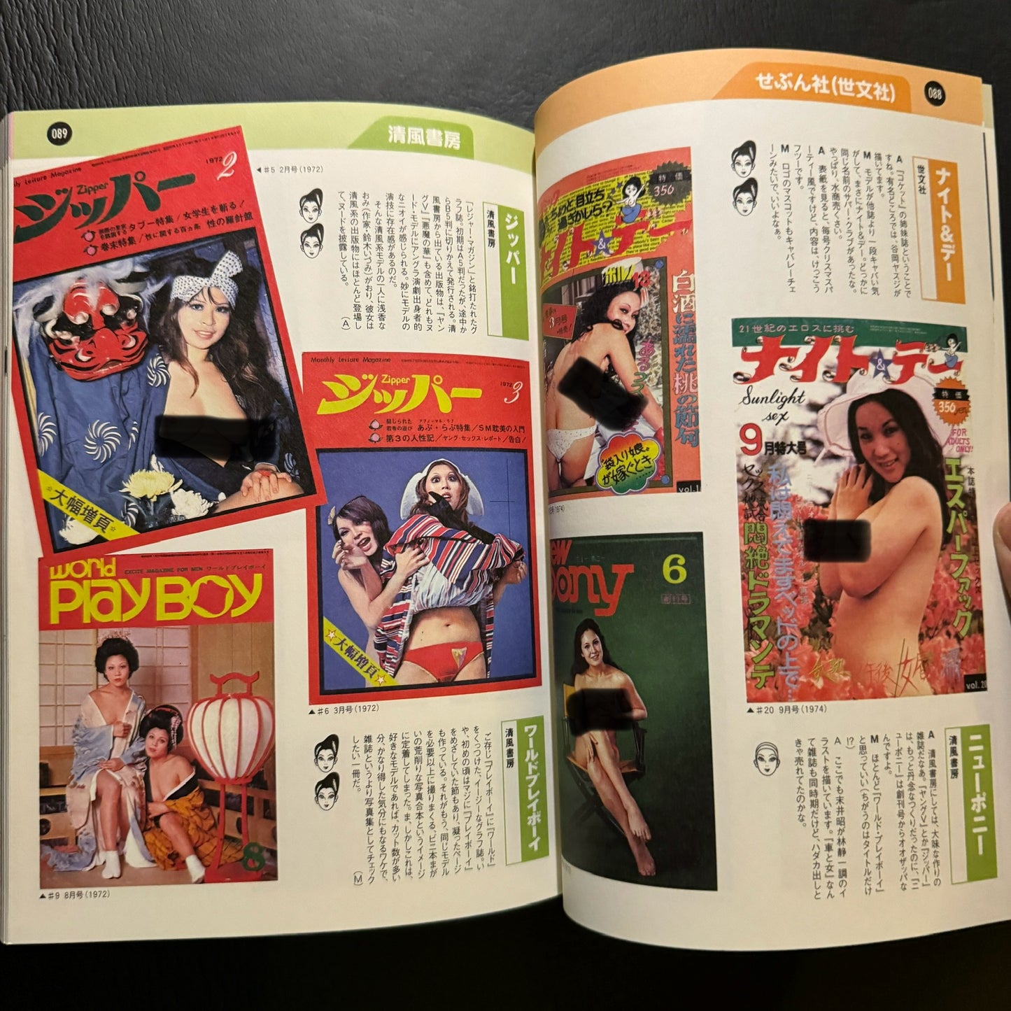 Encyclopedia of sexy magazines