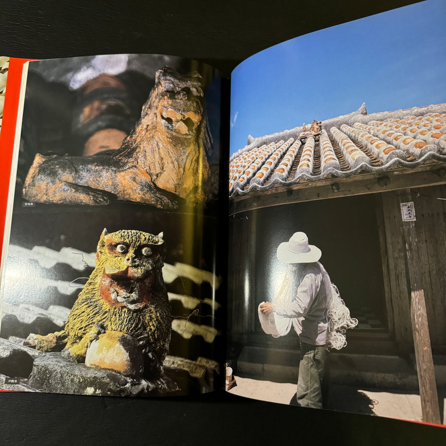 Okinawan Roof Shisa