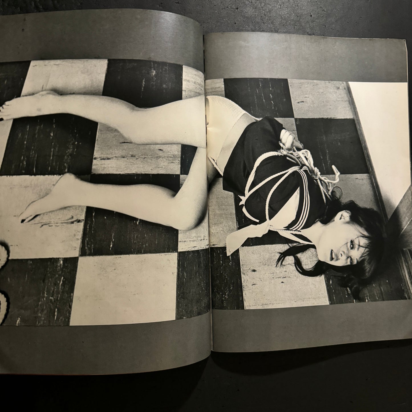 Sadistic Ecstasy