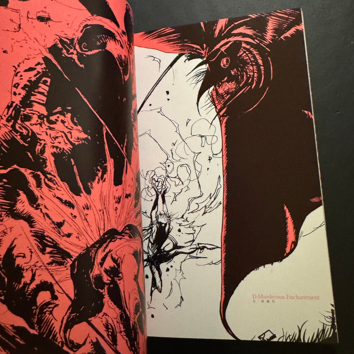 VAMPIRE HUNTER D