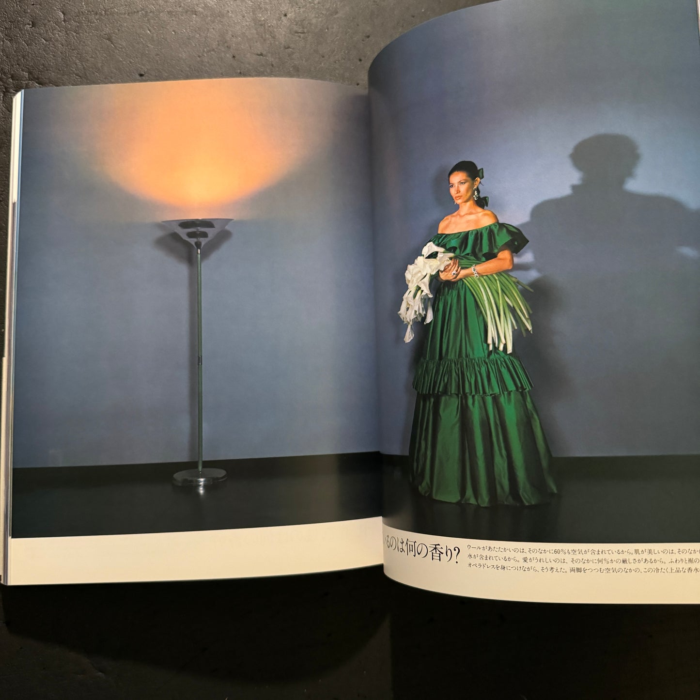 ALTERNATIVE ADVERTISING FOR SHISEIDO WORKS OF KAZUHIKO OTA