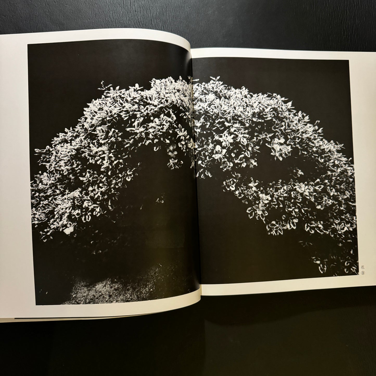 WORKS OF A-Z PHOTOGRAPHY GROUP