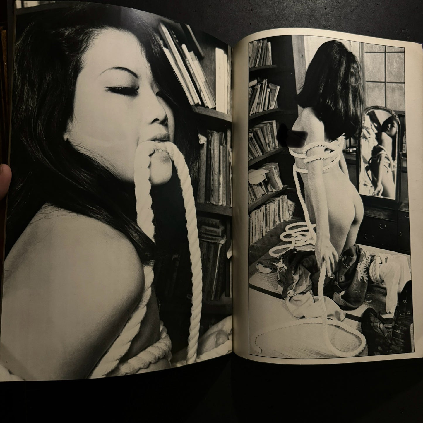 Sadistic Ecstasy