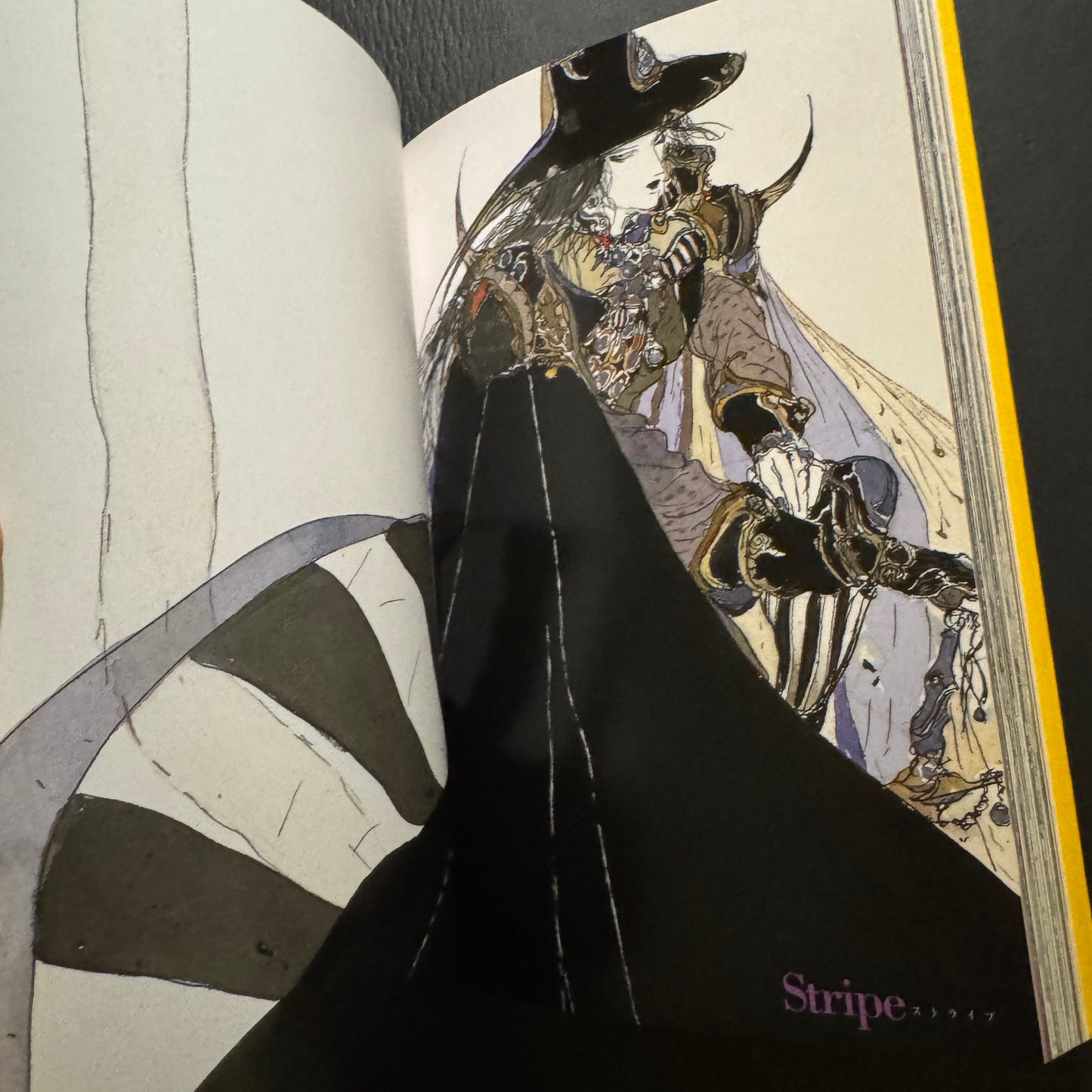 VAMPIRE HUNTER D