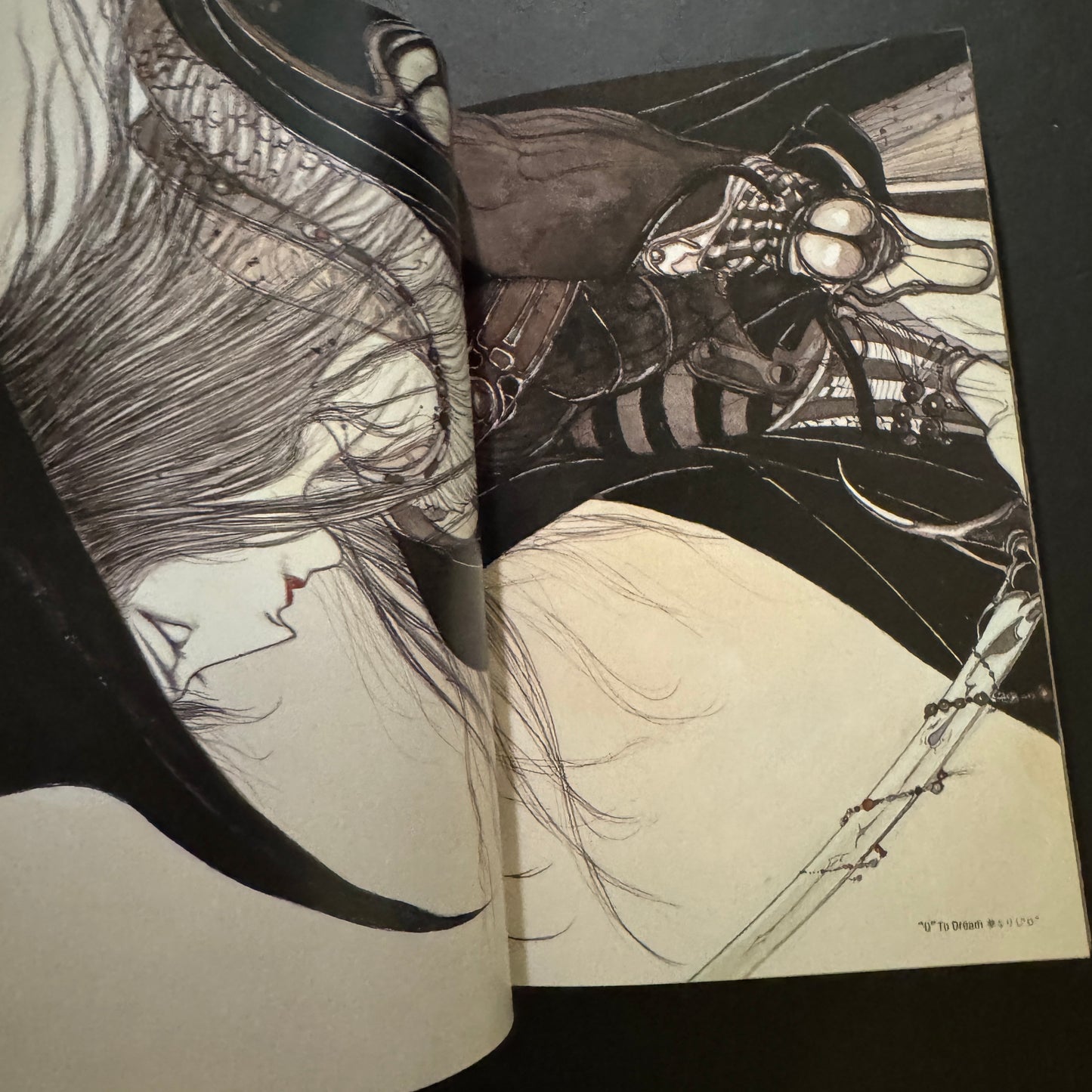 VAMPIRE HUNTER D