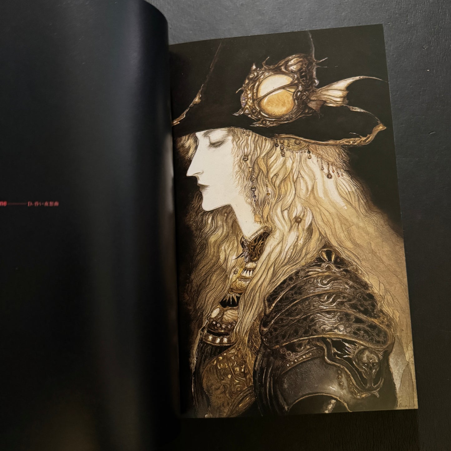 VAMPIRE HUNTER D