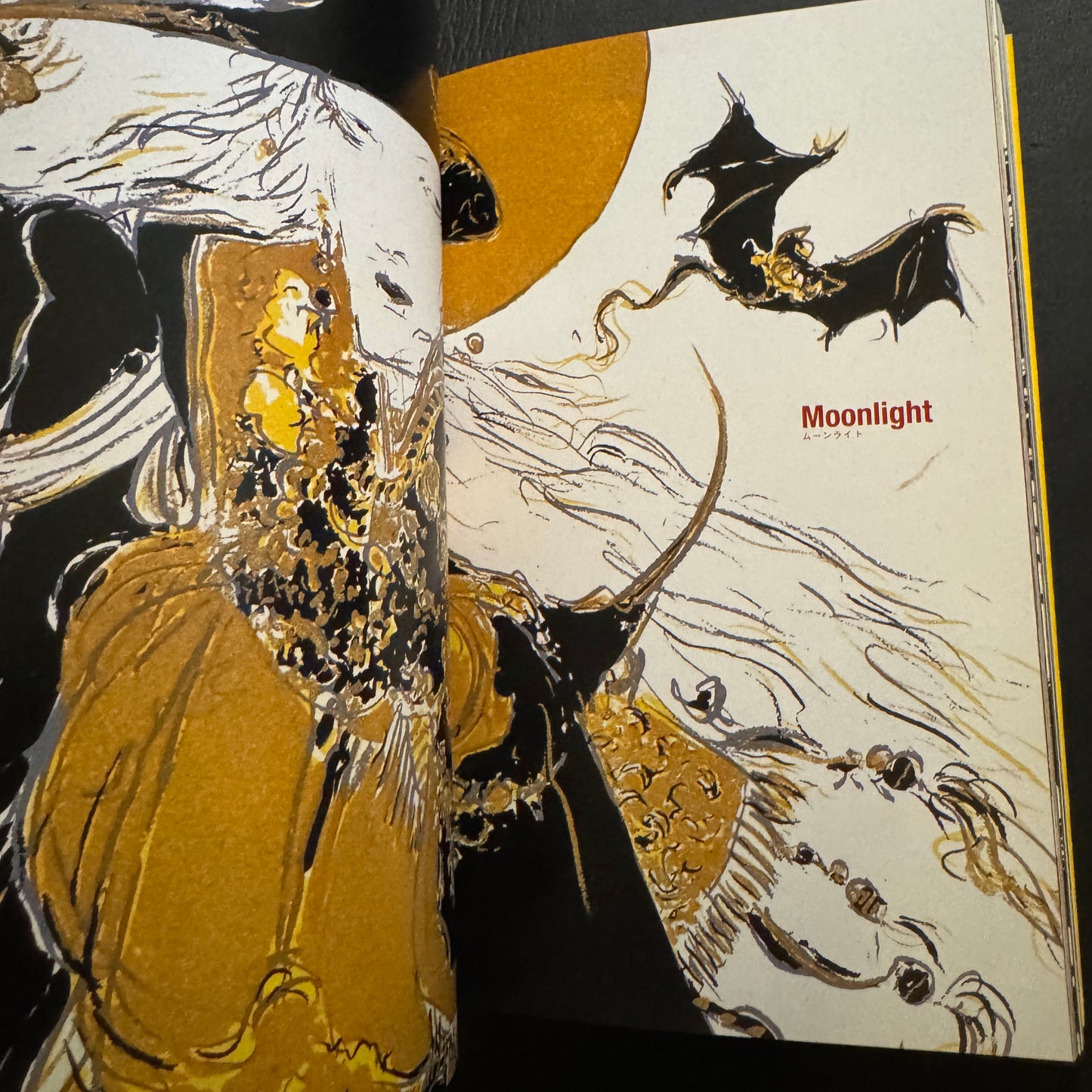 VAMPIRE HUNTER D