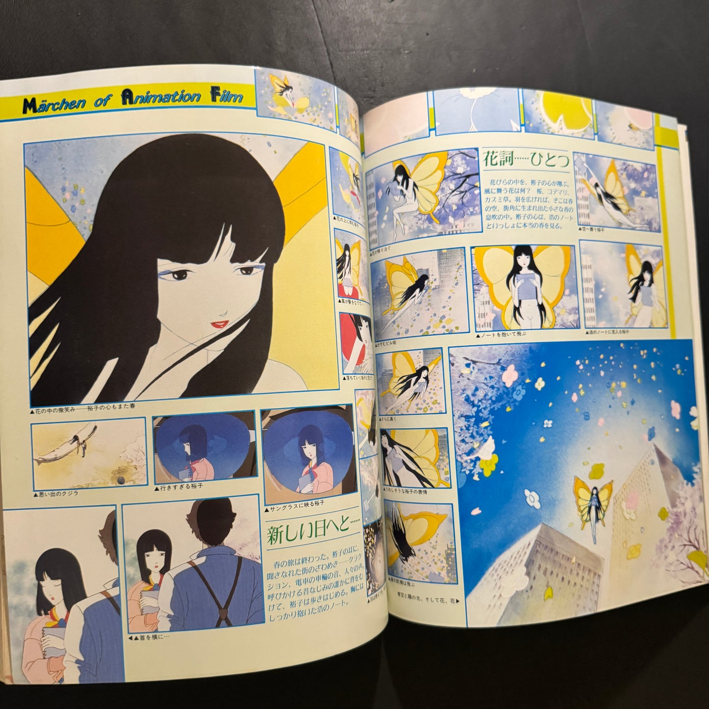 RADIO CITY FANTASY Mook book