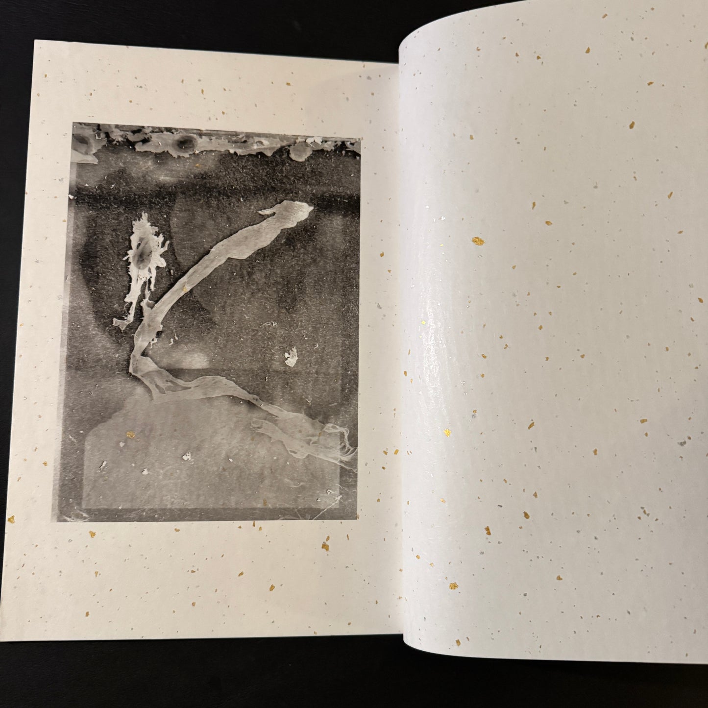 FOUR / Matter Print House Session 2019