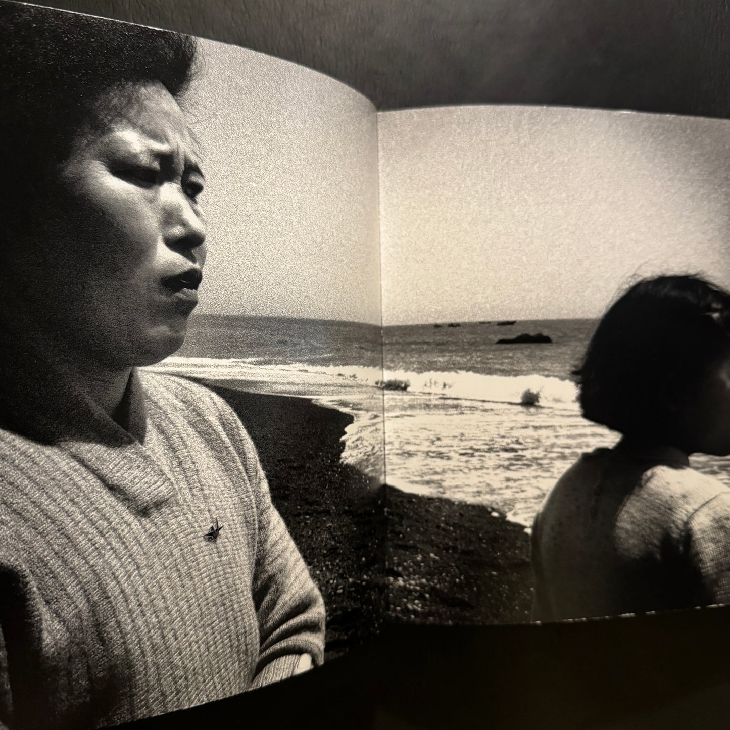 Remote Past a Memoir : 1951-1996
