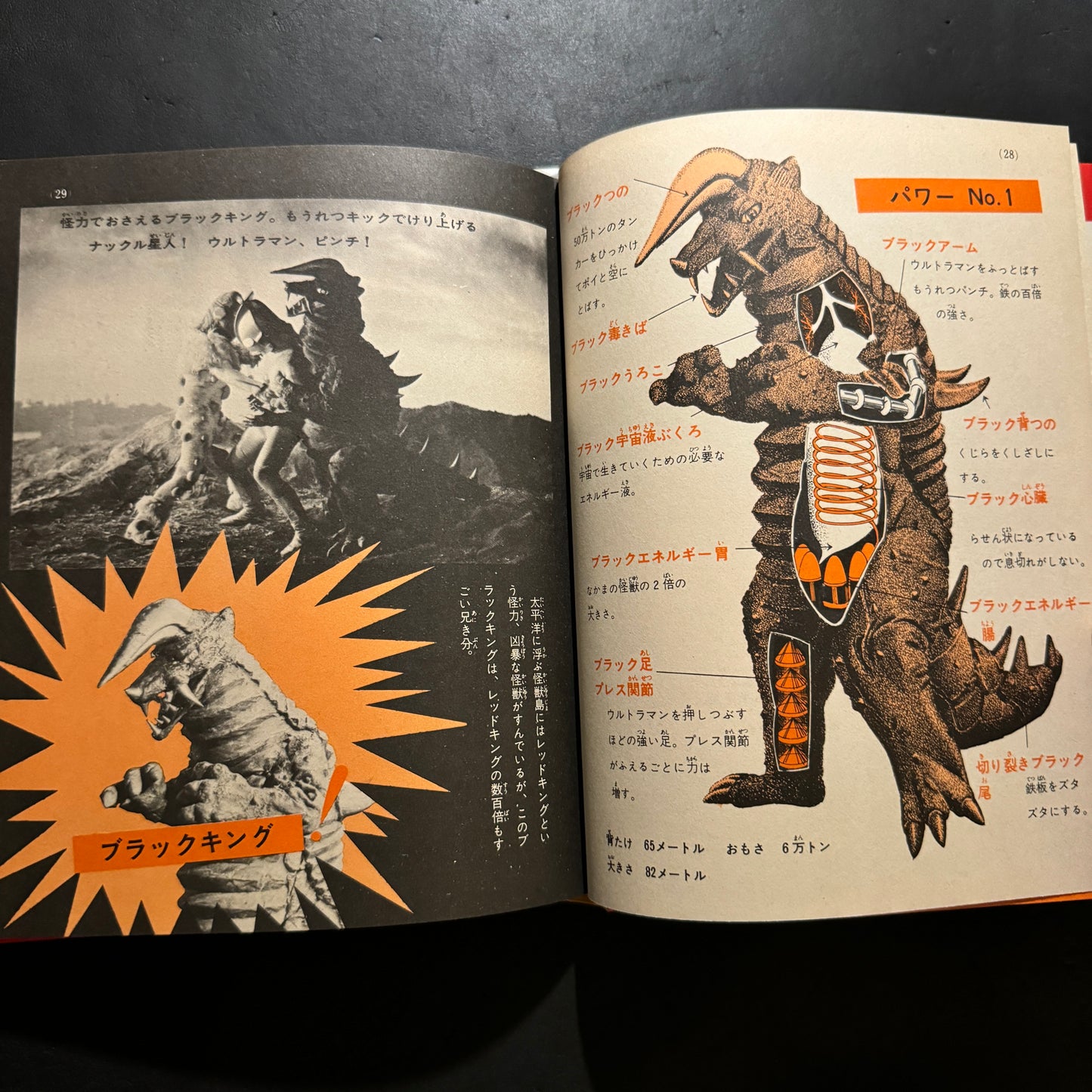 Illustrated Guide to Monsters