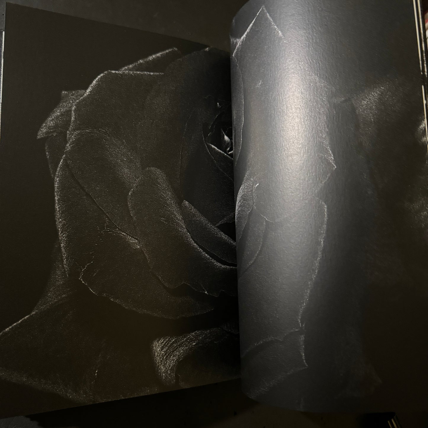 DAIDO SILK singed