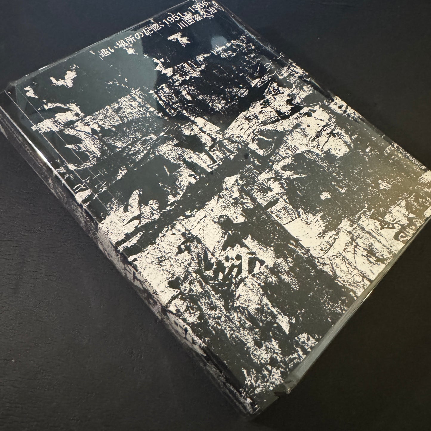 Remote Past a Memoir : 1951-1996