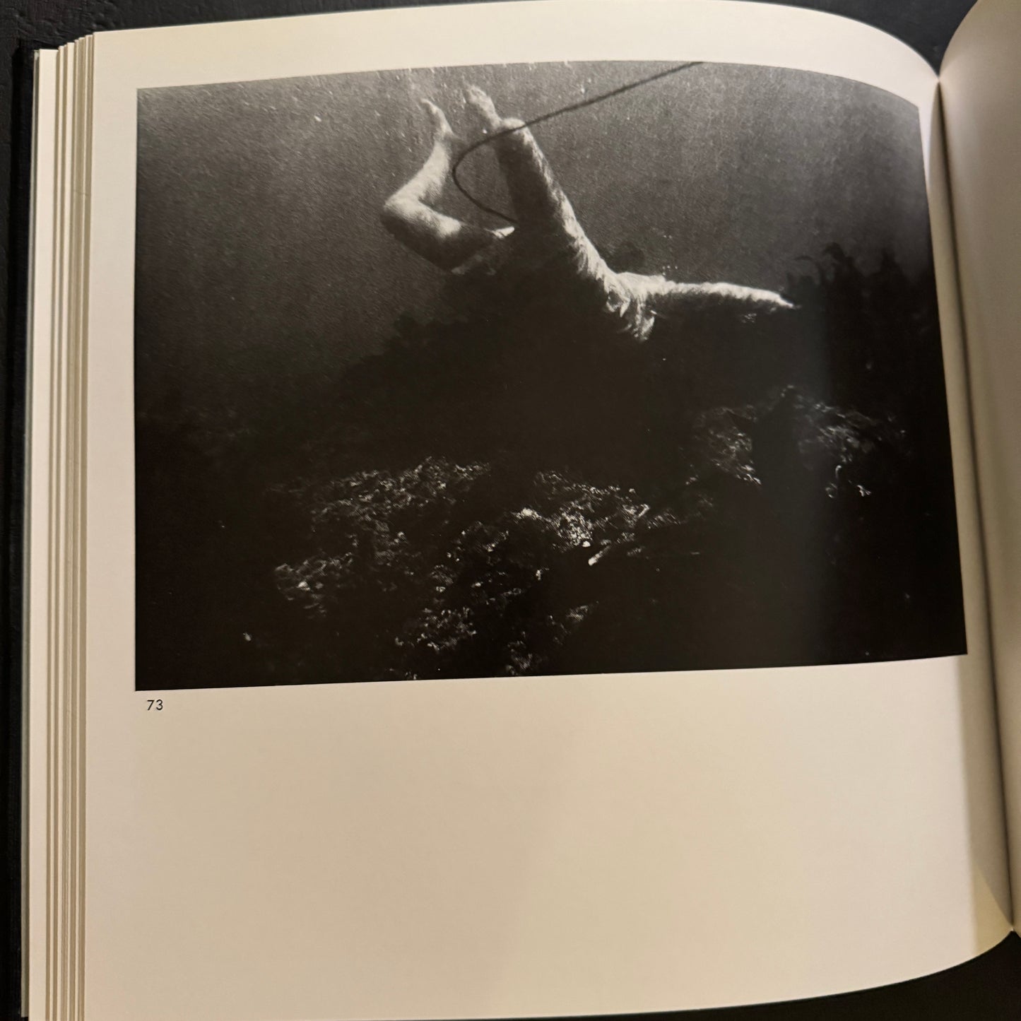 SHIMA FUDOKI ( signed )