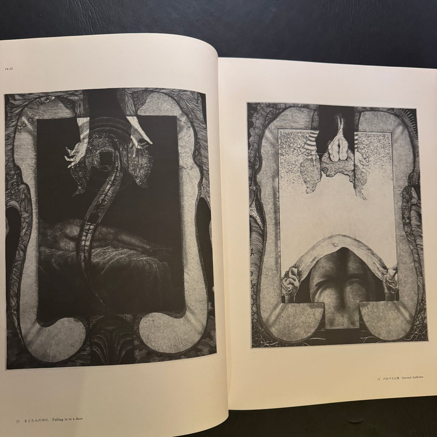 SPRING DREAMER The Complete Works of Shin Taga