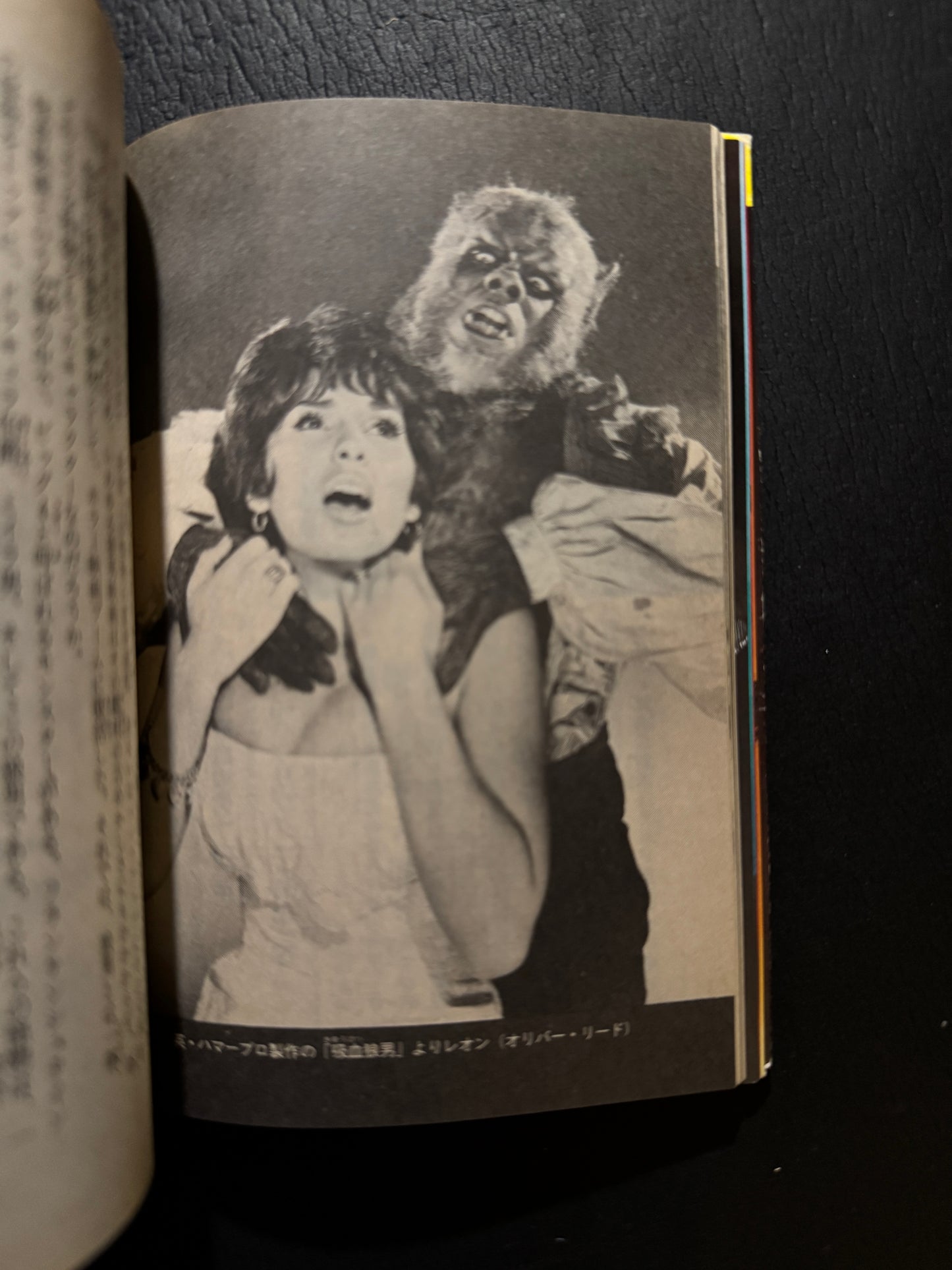 Fantasy File HORROR COLLECTION