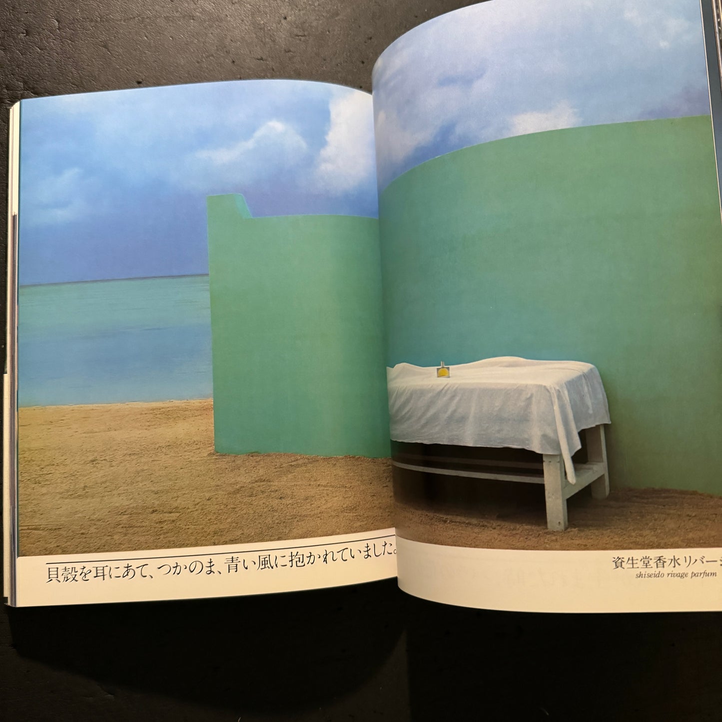 ALTERNATIVE ADVERTISING FOR SHISEIDO WORKS OF KAZUHIKO OTA