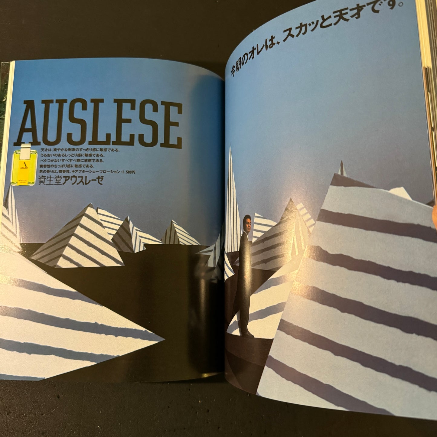 ALTERNATIVE ADVERTISING FOR SHISEIDO WORKS OF KAZUHIKO OTA