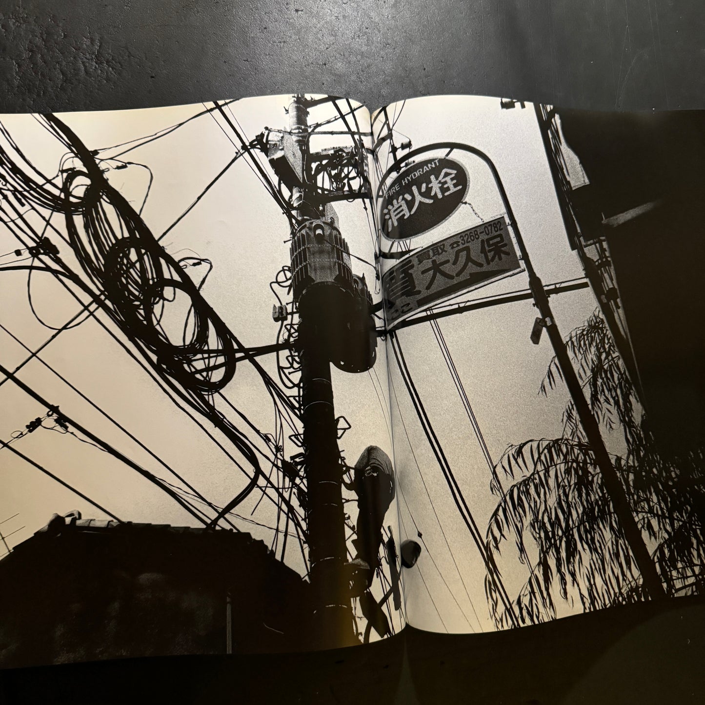 Daido hysteric no.6 1994