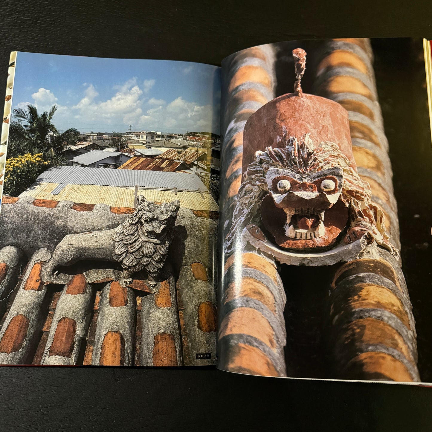 Okinawan Roof Shisa