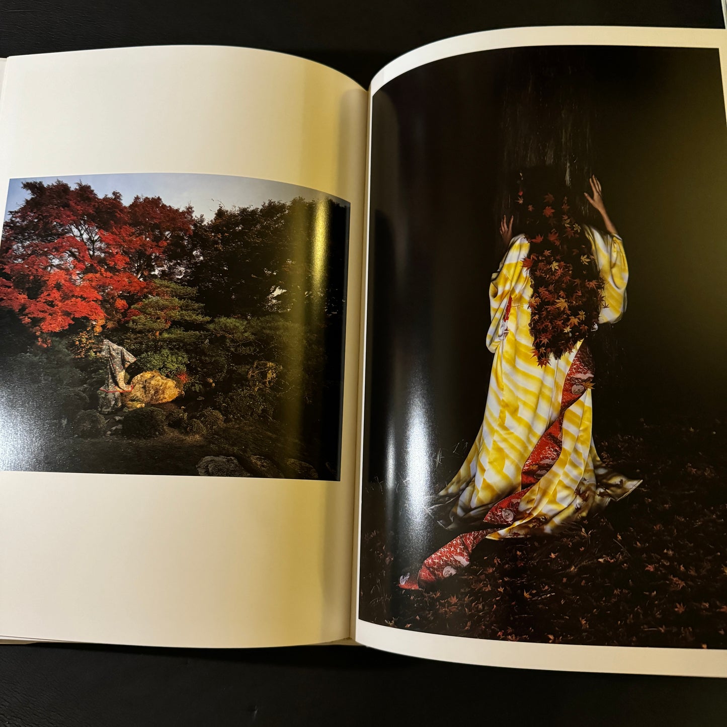 HANAKESHI(The Air of Blossoming Spring)