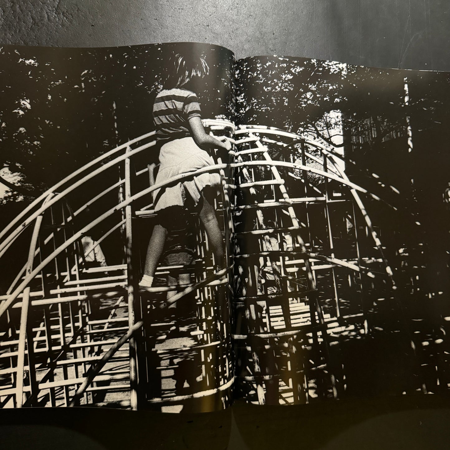 Daido hysteric no.6 1994