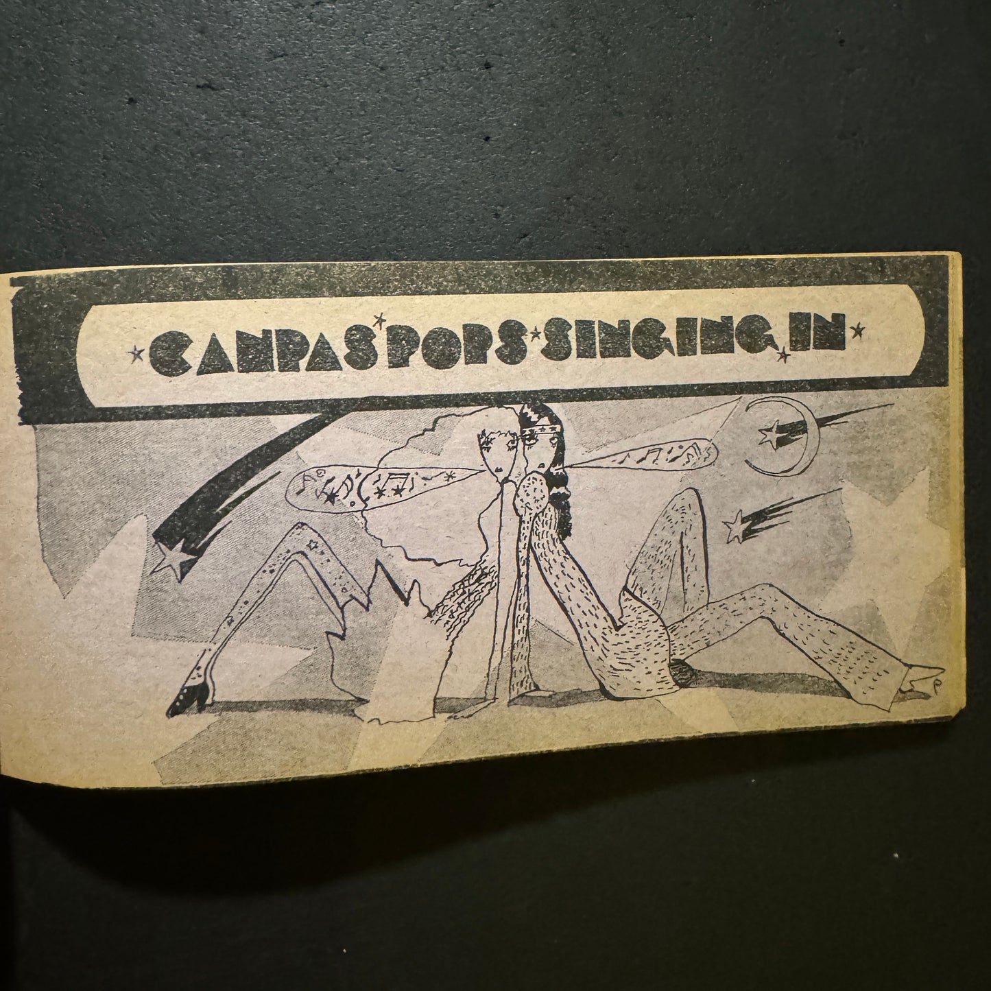 song book no.13