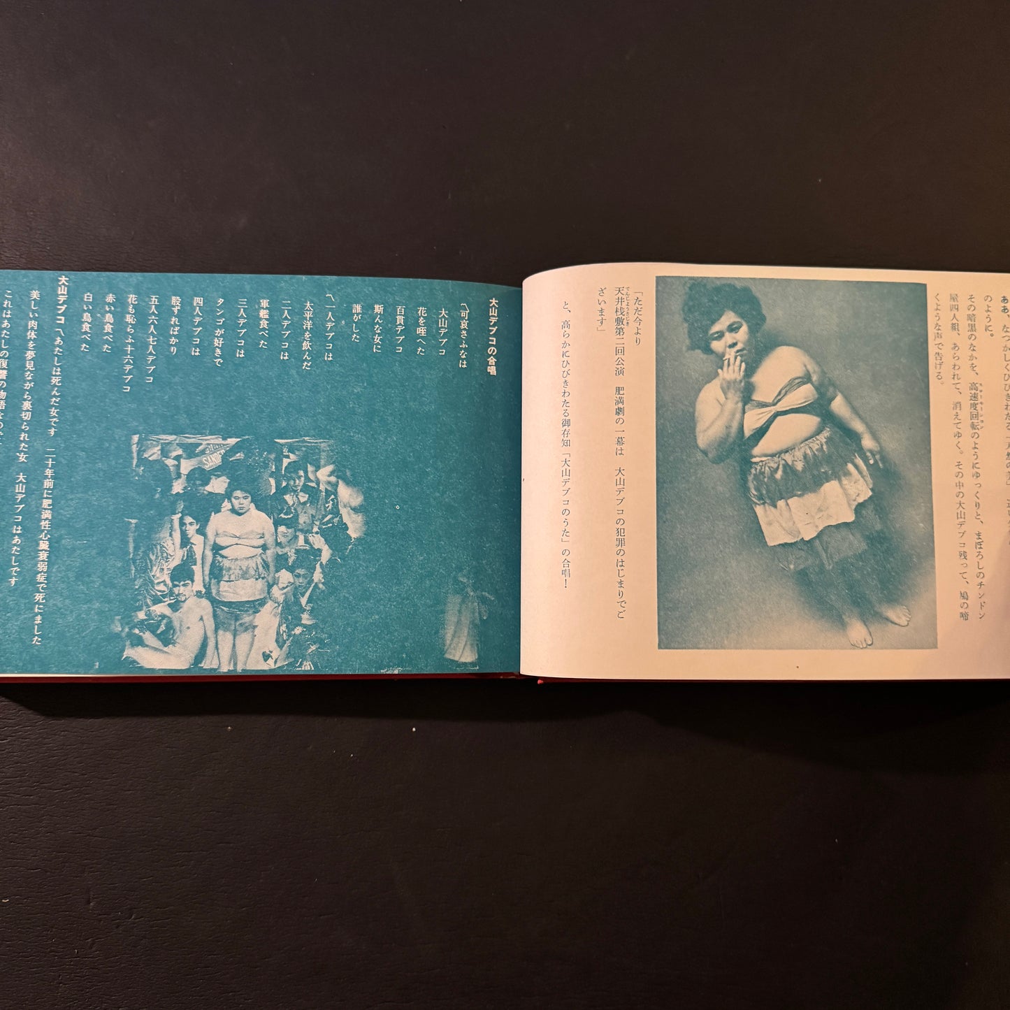 SAA,SAA, OTACHIAI,Tenjo Sajiki Paper Performance