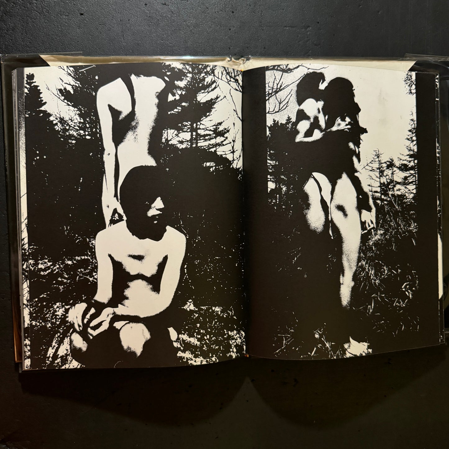 Adam and Eve
