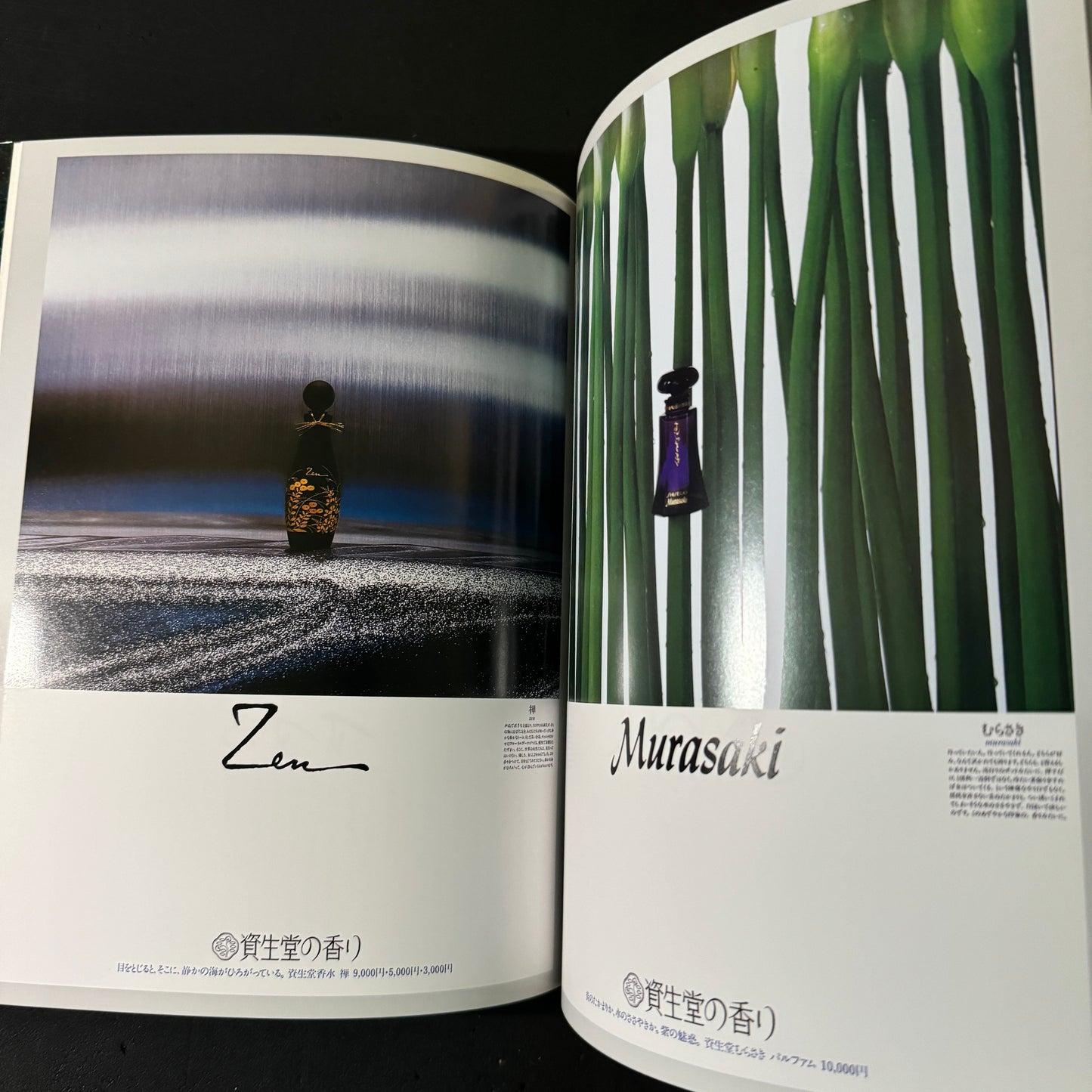 ALTERNATIVE ADVERTISING FOR SHISEIDO WORKS OF KAZUHIKO OTA