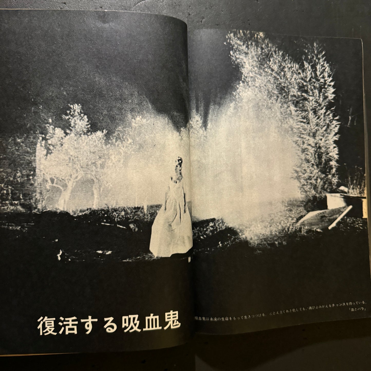 KINE JUNE Mystery and horror