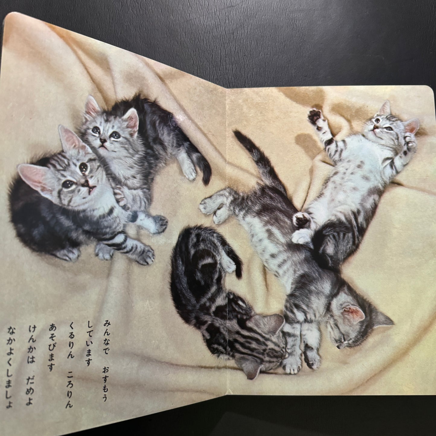 Cutie Cats
